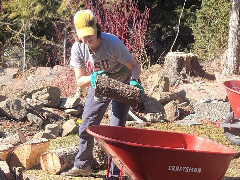 Hauling firewood on a work project